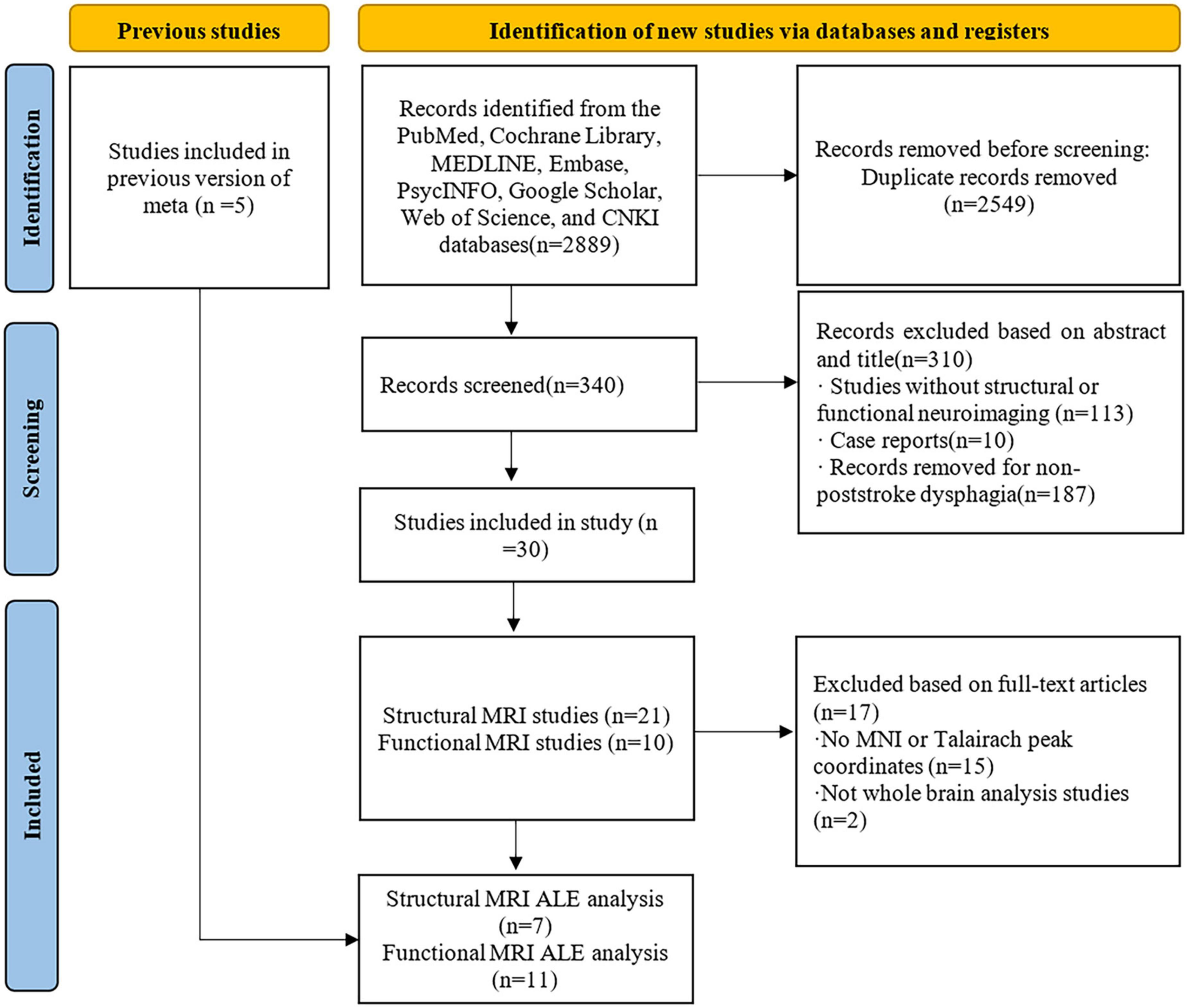 Neural basis of dysphagia in stroke: A systematic review and meta-analysis